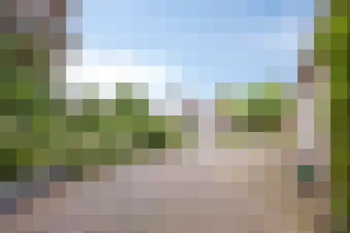 Breukrand 401 Uden thumbnail 44