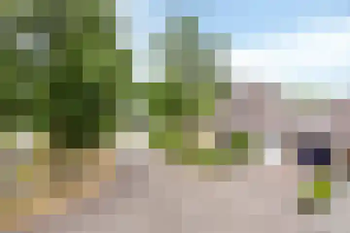 Breukrand 401 Uden thumbnail 49