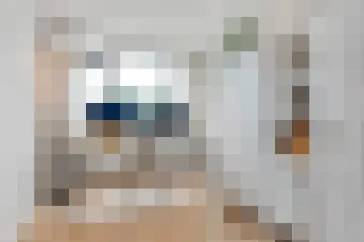 Breukrand 402 Uden thumbnail 10