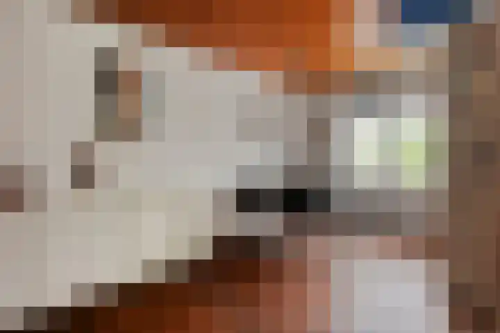 Breukrand 402 Uden thumbnail 11