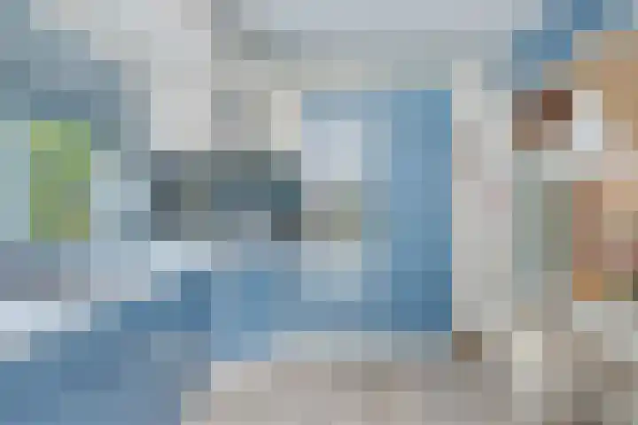 Breukrand 402 Uden thumbnail 15