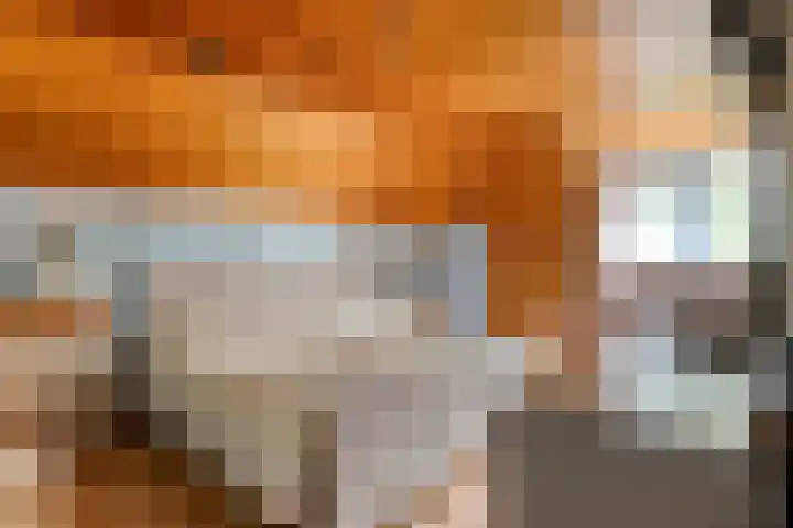 Breukrand 402 Uden thumbnail 22