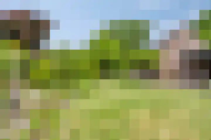 Breukrand 402 Uden thumbnail 32