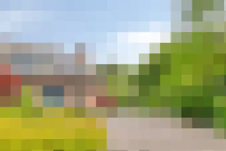 Breukrand 402 Uden thumbnail 4