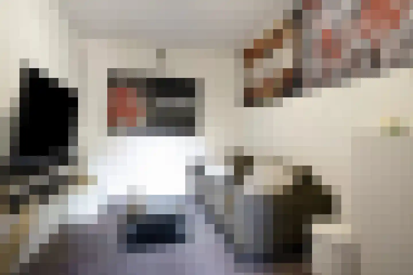 Breukrand 413 Uden thumbnail 14