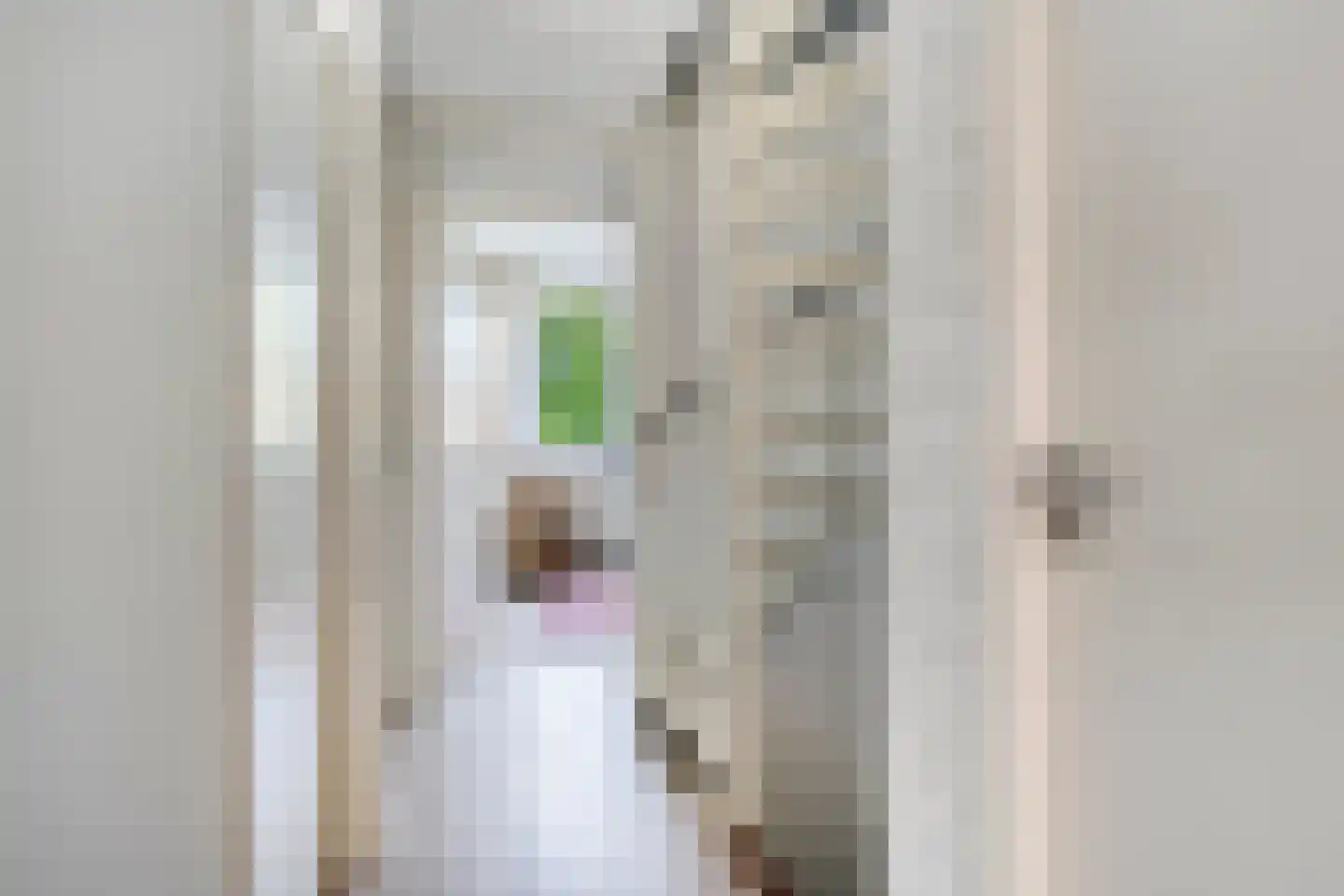 Breukrand 413 Uden thumbnail 16