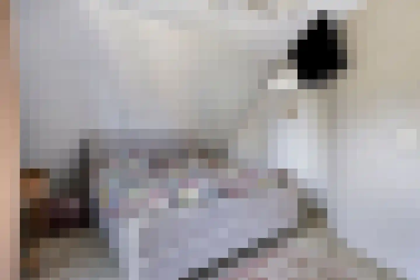 Breukrand 413 Uden thumbnail 18