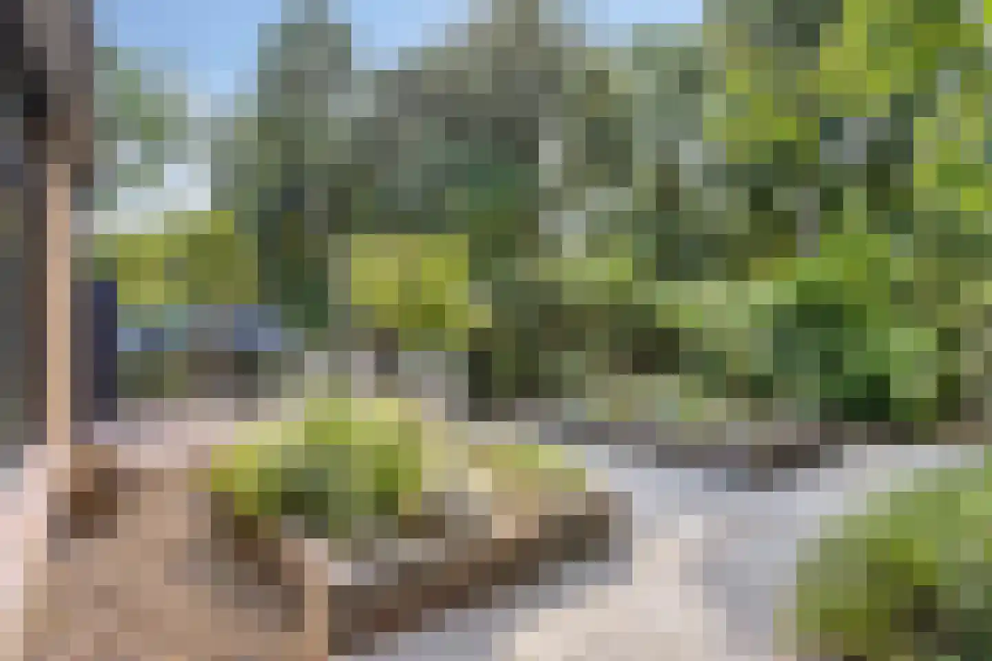 Breukrand 413 Uden thumbnail 33