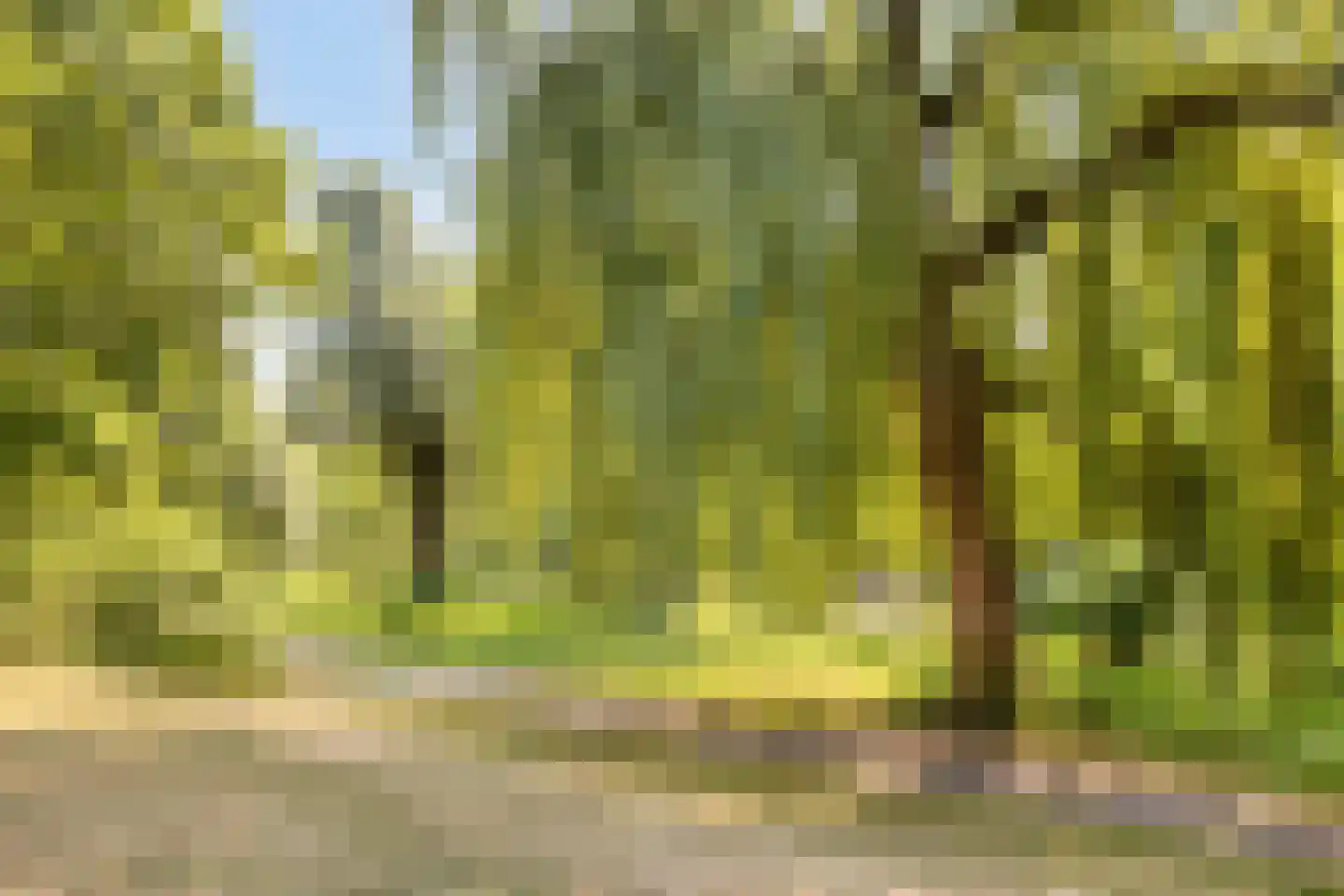 Breukrand 413 Uden thumbnail 37
