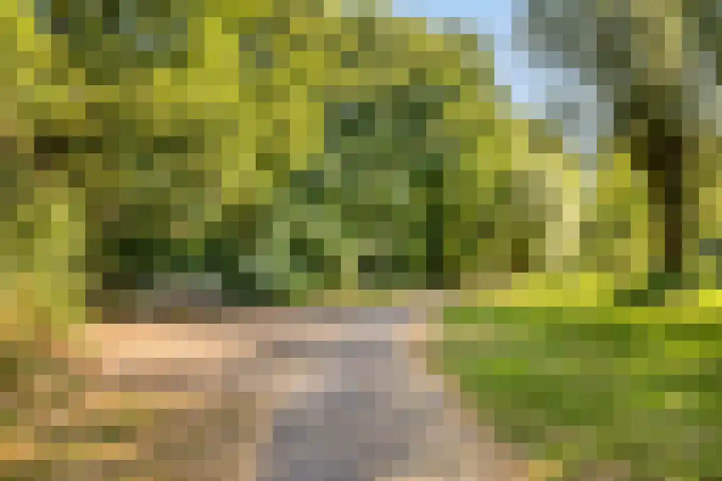 Breukrand 413 Uden thumbnail 38