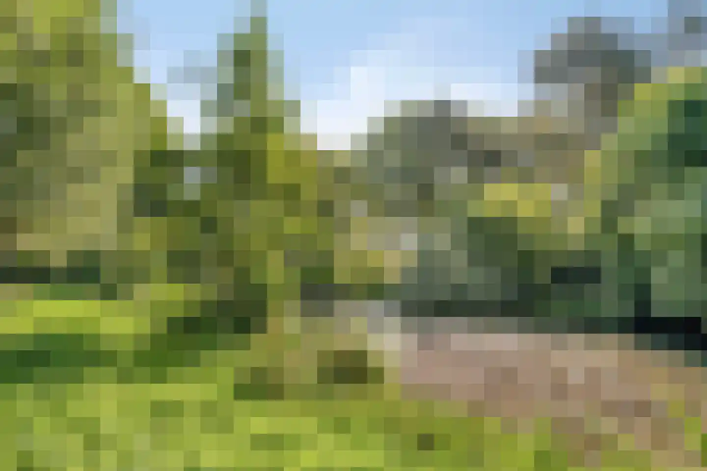 Breukrand 413 Uden thumbnail 39