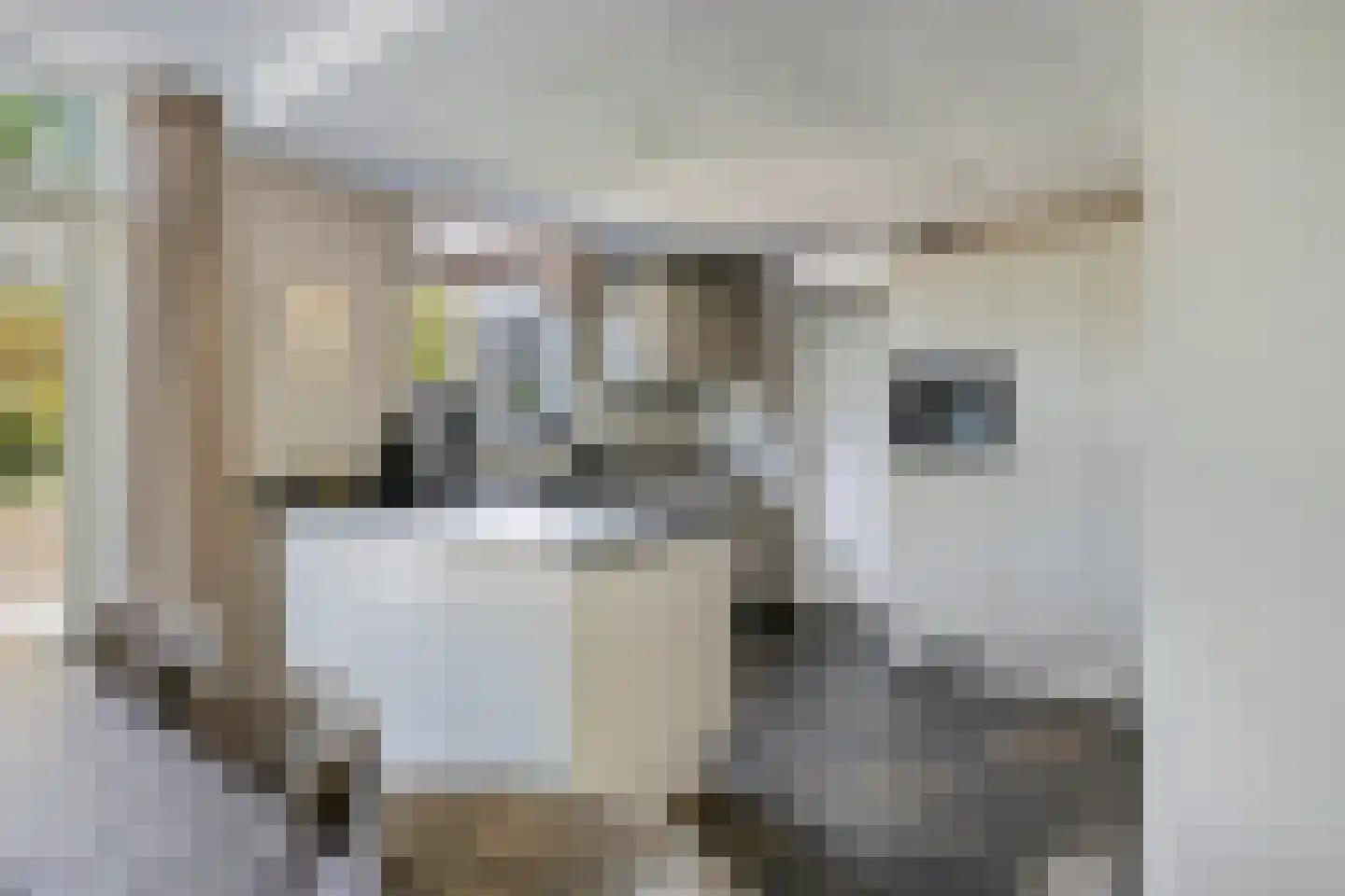 Breukrand 413 Uden thumbnail 8