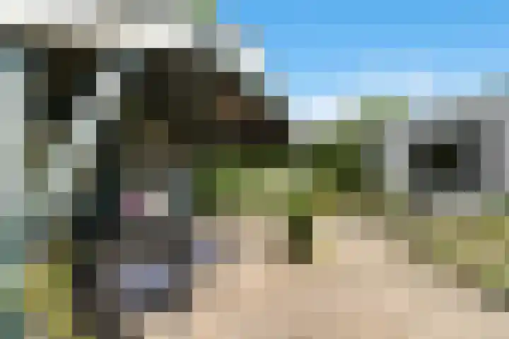 Breulsweg 2 Wijlre thumbnail 18
