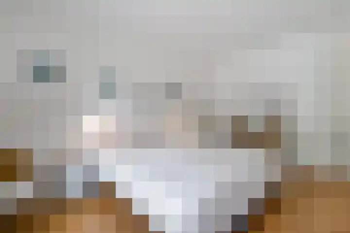 Breulsweg 2 Wijlre thumbnail 24