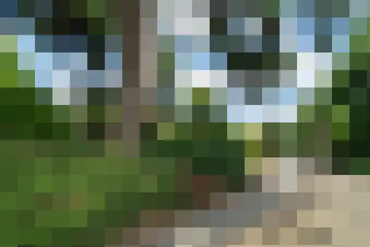 Breulsweg 2 Wijlre thumbnail 28