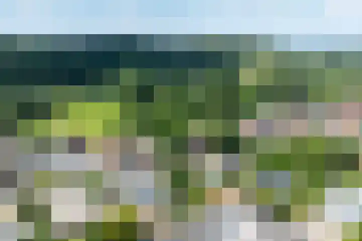 Breulsweg 2 Wijlre thumbnail 29
