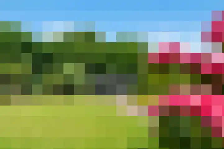 Breulsweg 2 Wijlre foto 3
