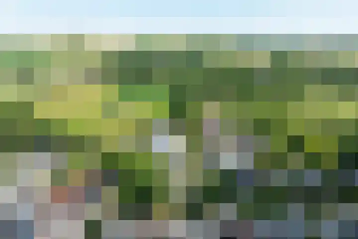Breulsweg 2 Wijlre thumbnail 30