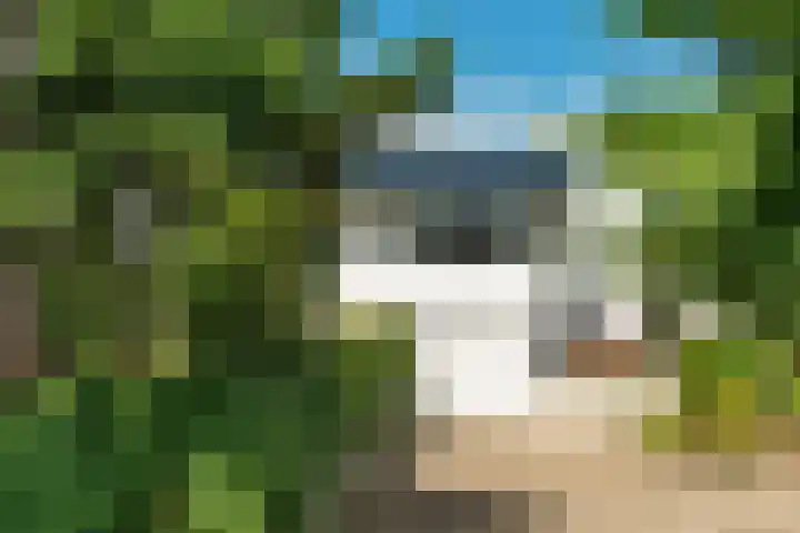 Breulsweg 2 Wijlre thumbnail 4