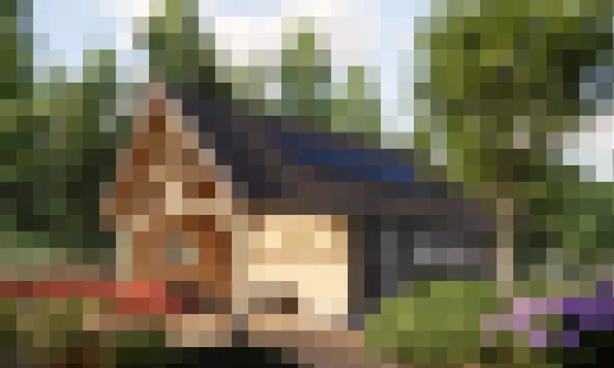 Breuninkhofweg 3 Wilp thumbnail 10