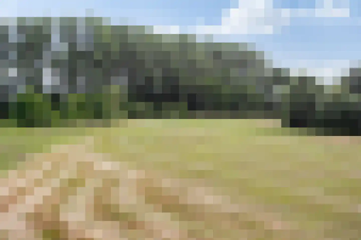 Breuninkhofweg 3 Wilp thumbnail 14
