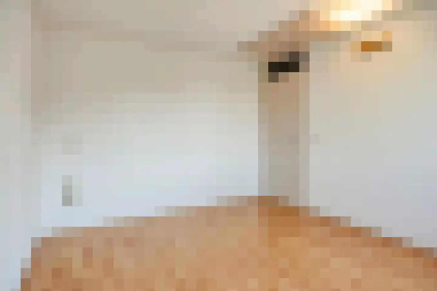 Breusterweiden 26 Eijsden thumbnail 19