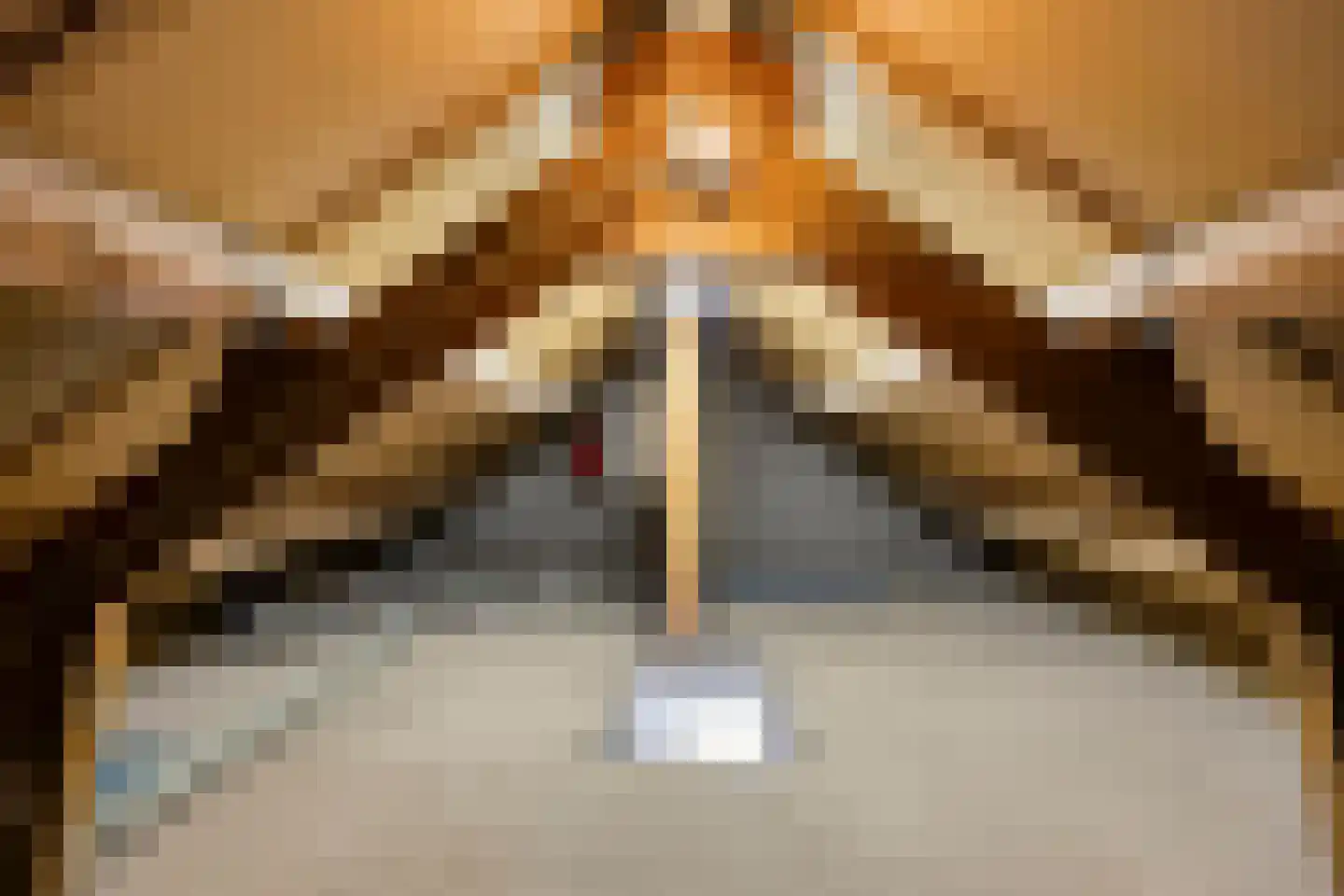 Breusterweiden 26 Eijsden thumbnail 27