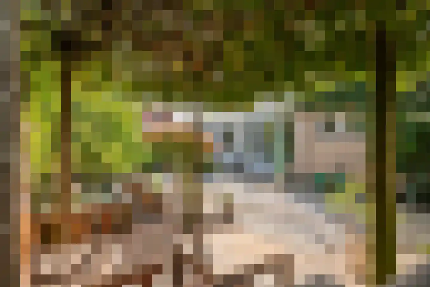 Breuvenhof 31 Druten thumbnail 4