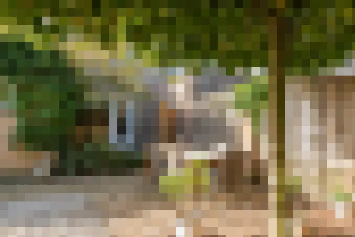 Breuvenhof 31 Druten thumbnail 44
