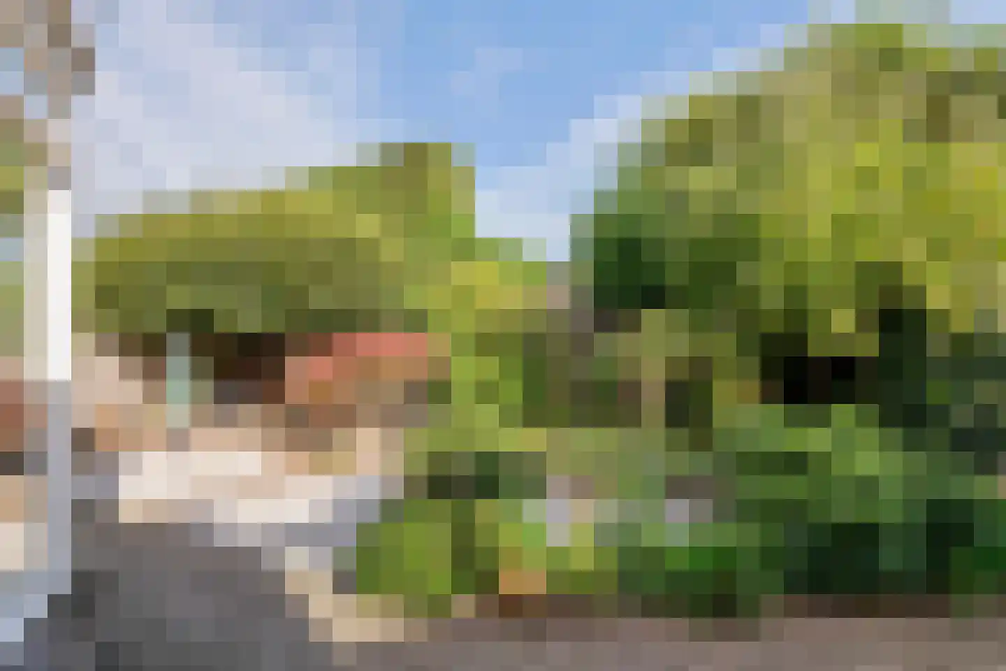 Breuvenhof 31 Druten thumbnail 45