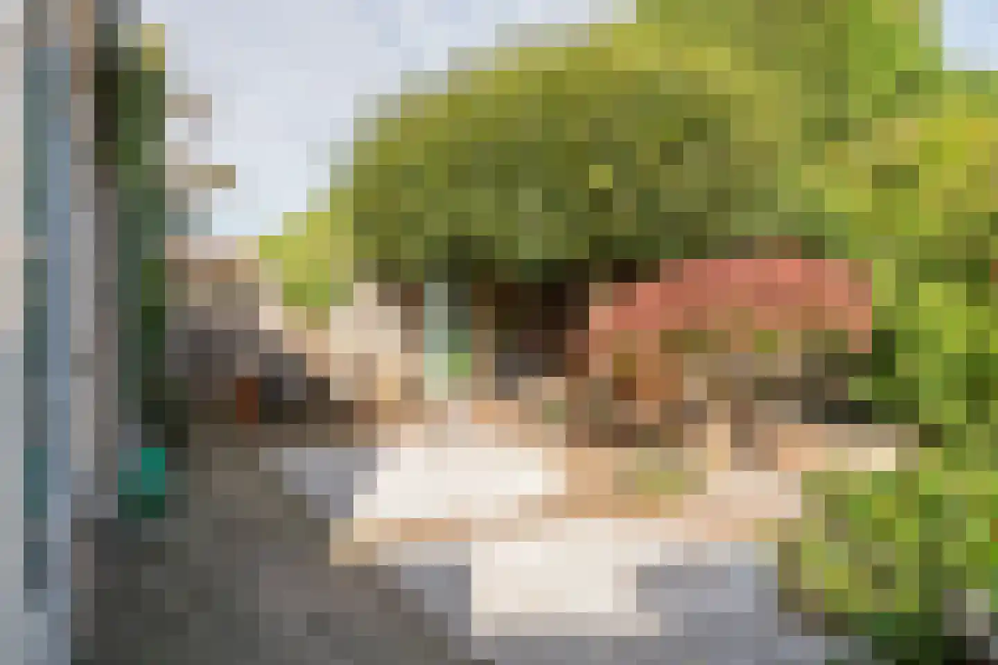 Breuvenhof 31 Druten thumbnail 46