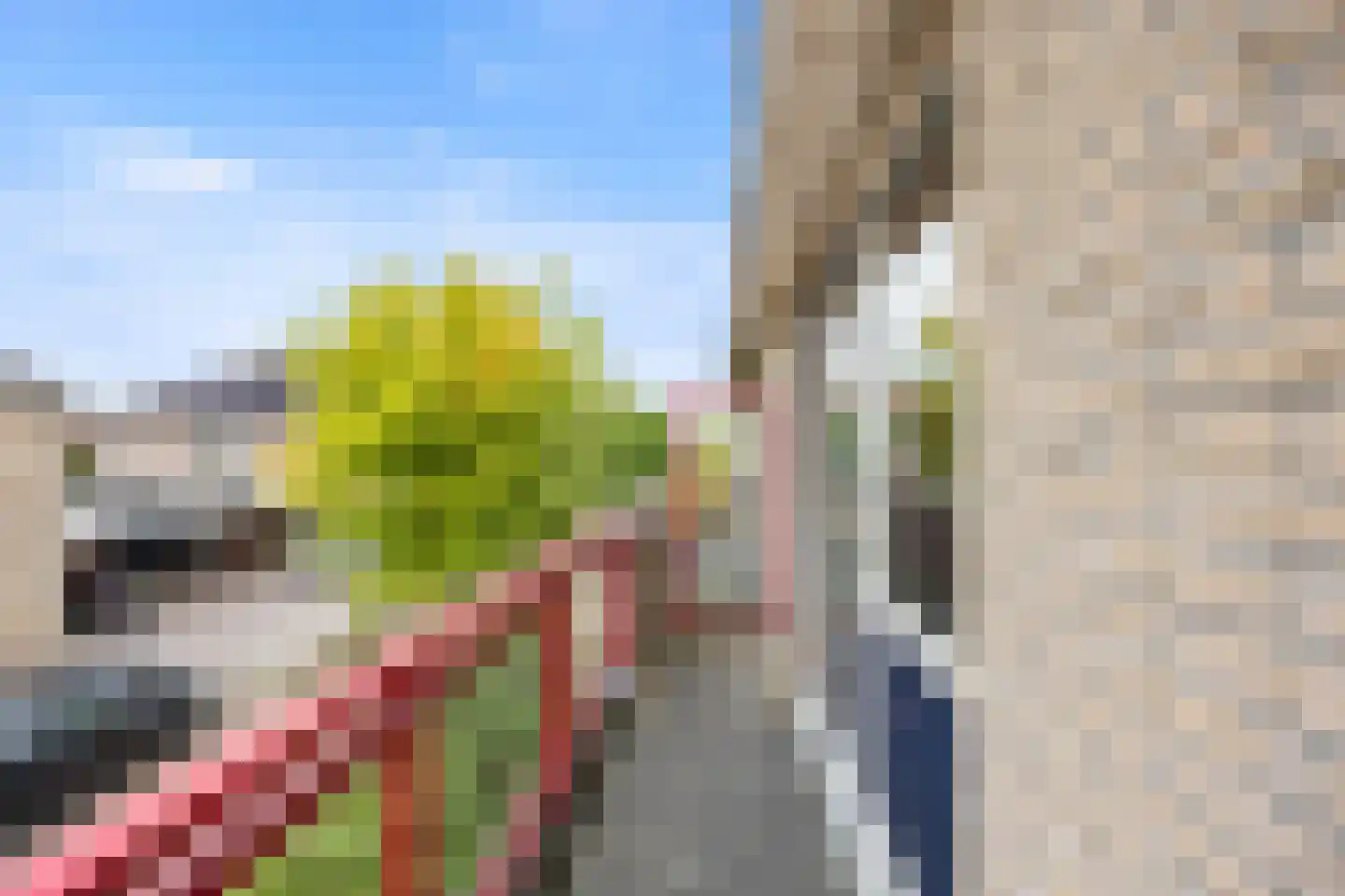 Breuvenhof 51 Druten thumbnail 21
