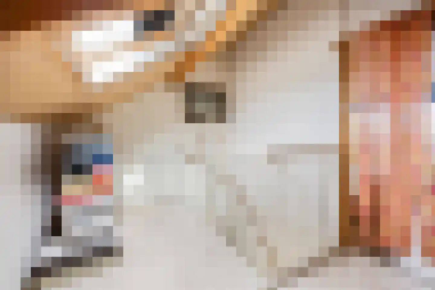 Breuvenhof 51 Druten thumbnail 32