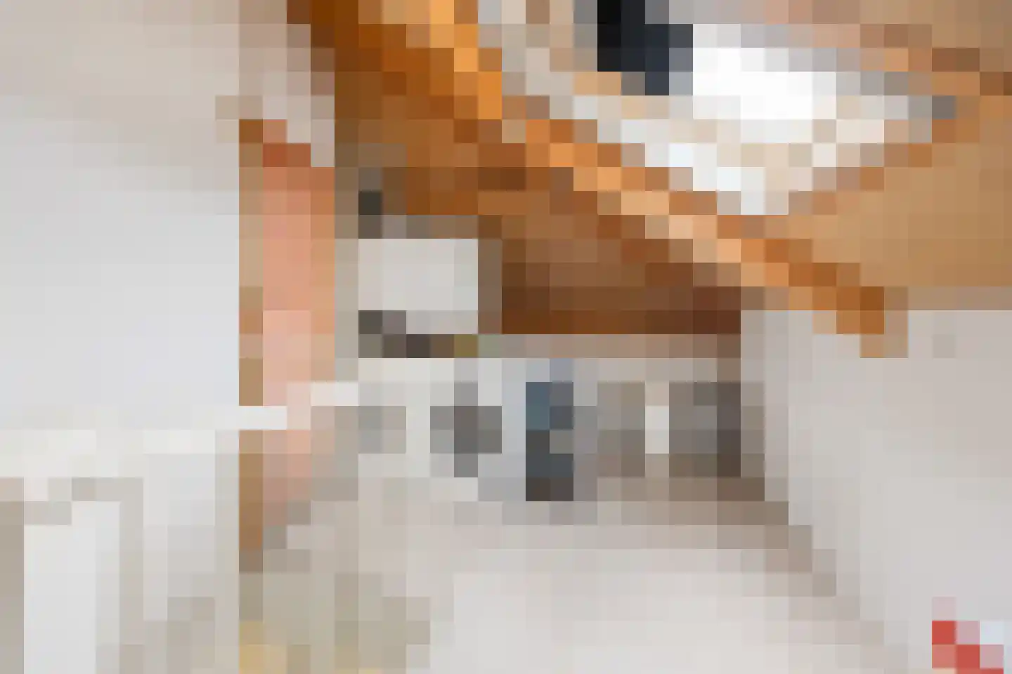 Breuvenhof 51 Druten thumbnail 34