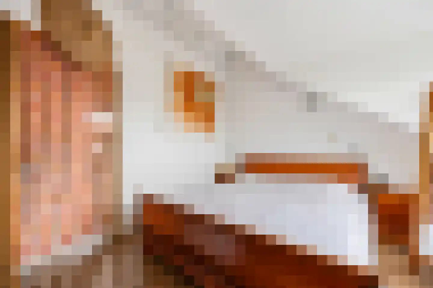 Breuvenhof 51 Druten thumbnail 36