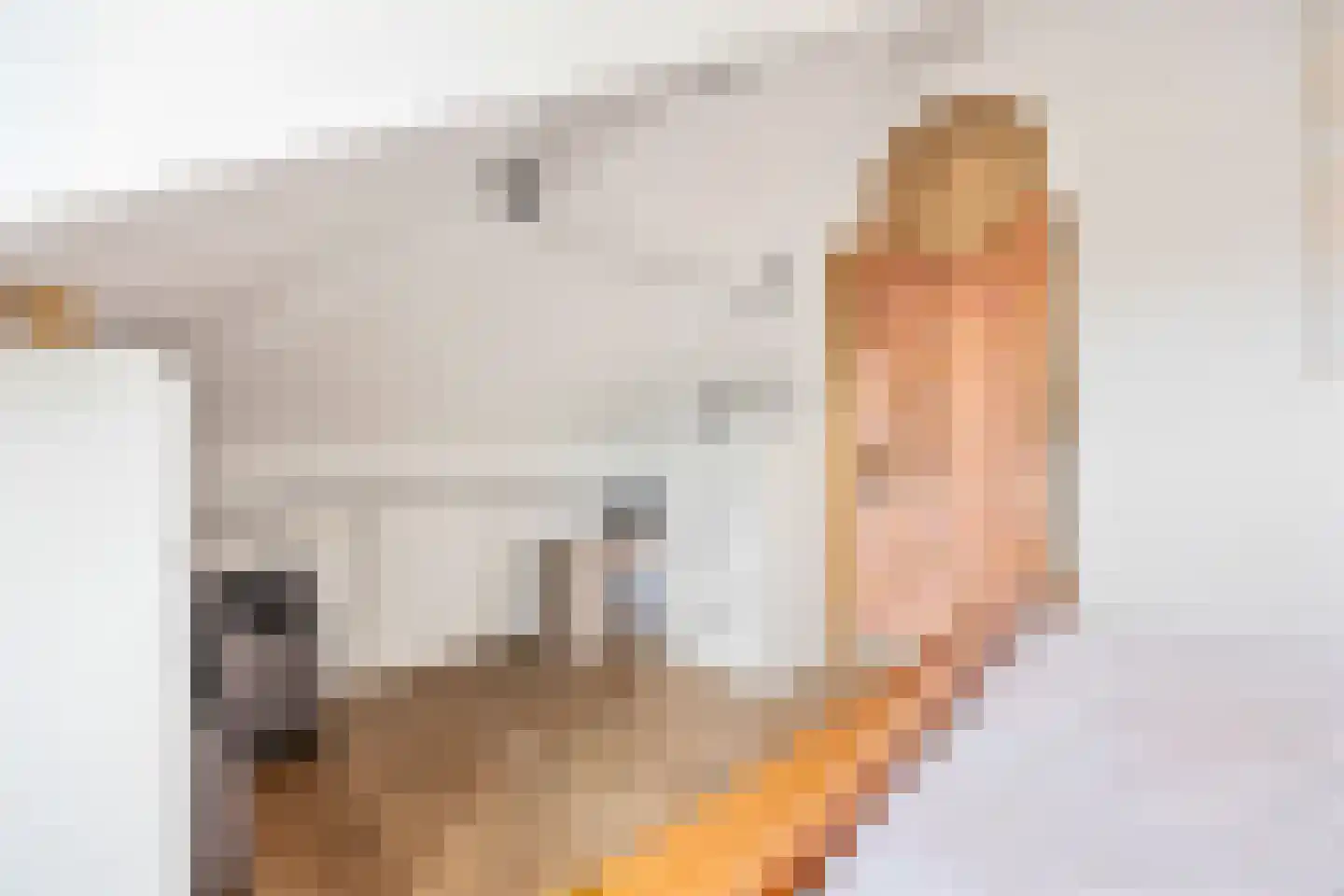 Breuvenhof 51 Druten thumbnail 37