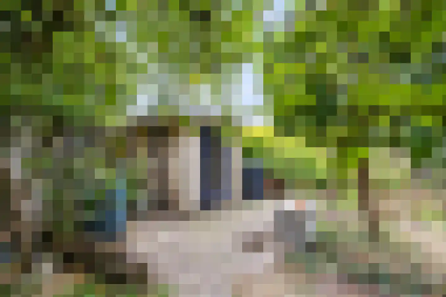Breuvenhof 51 Druten thumbnail 42