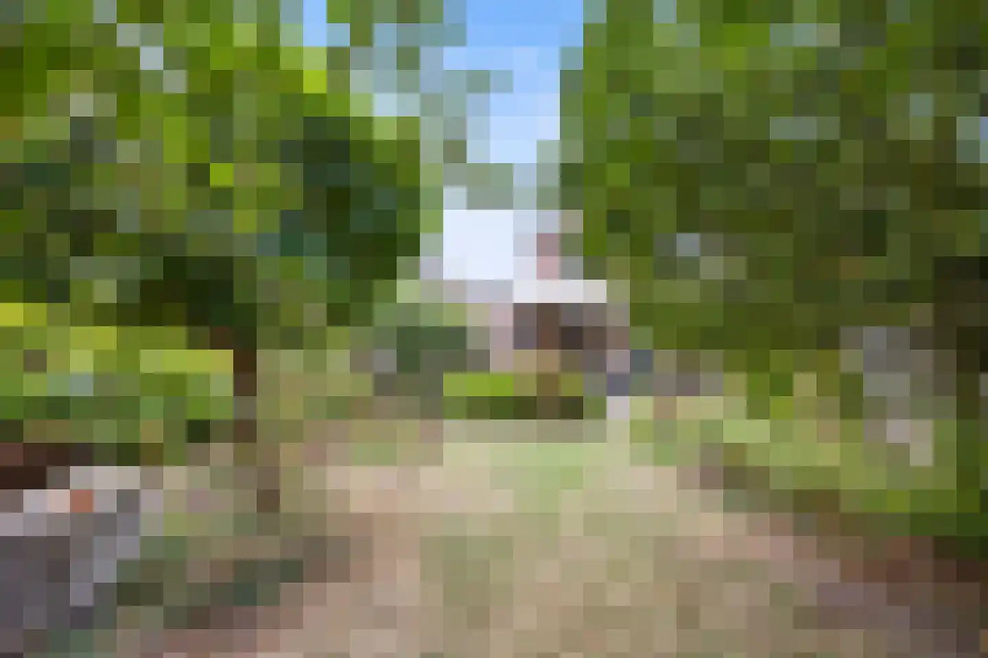 Breuvenhof 51 Druten thumbnail 43