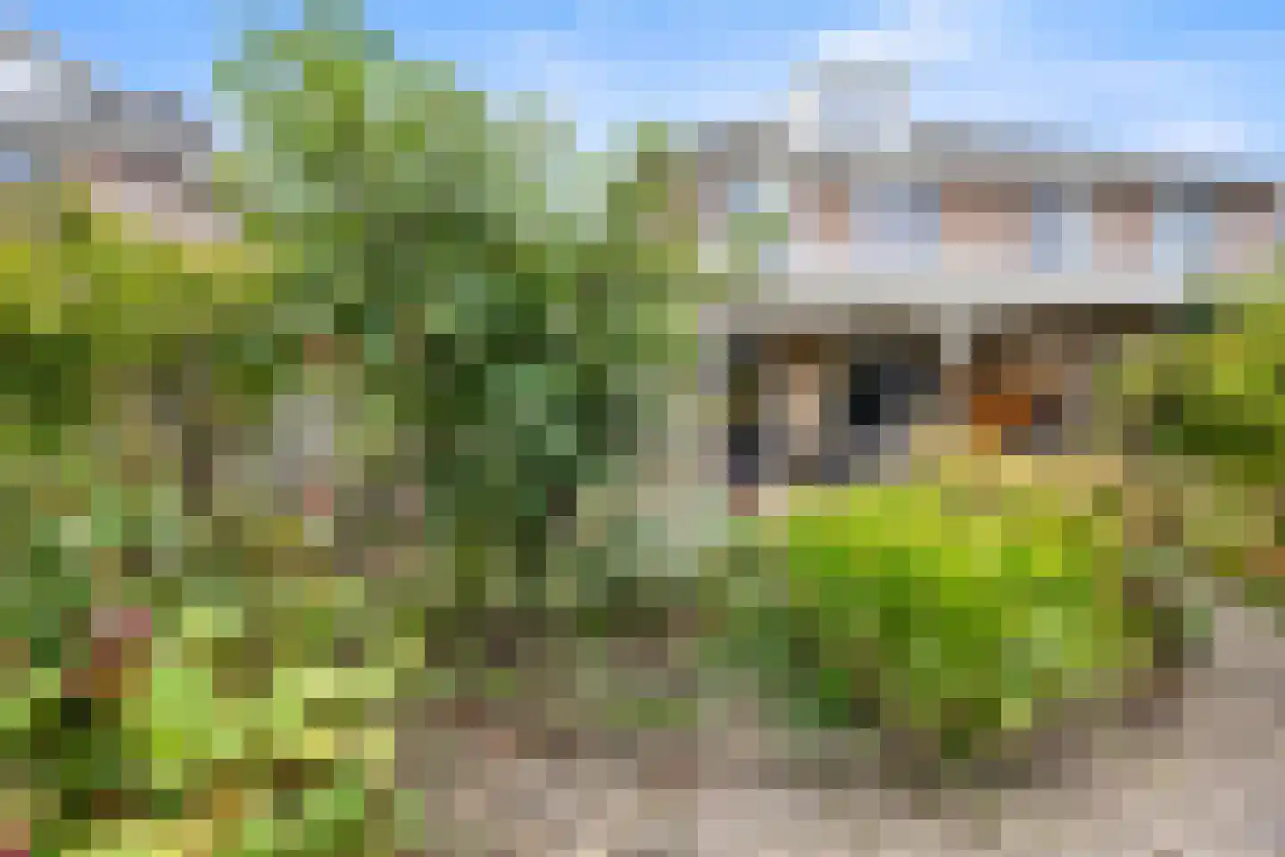 Breuvenhof 51 Druten thumbnail 45
