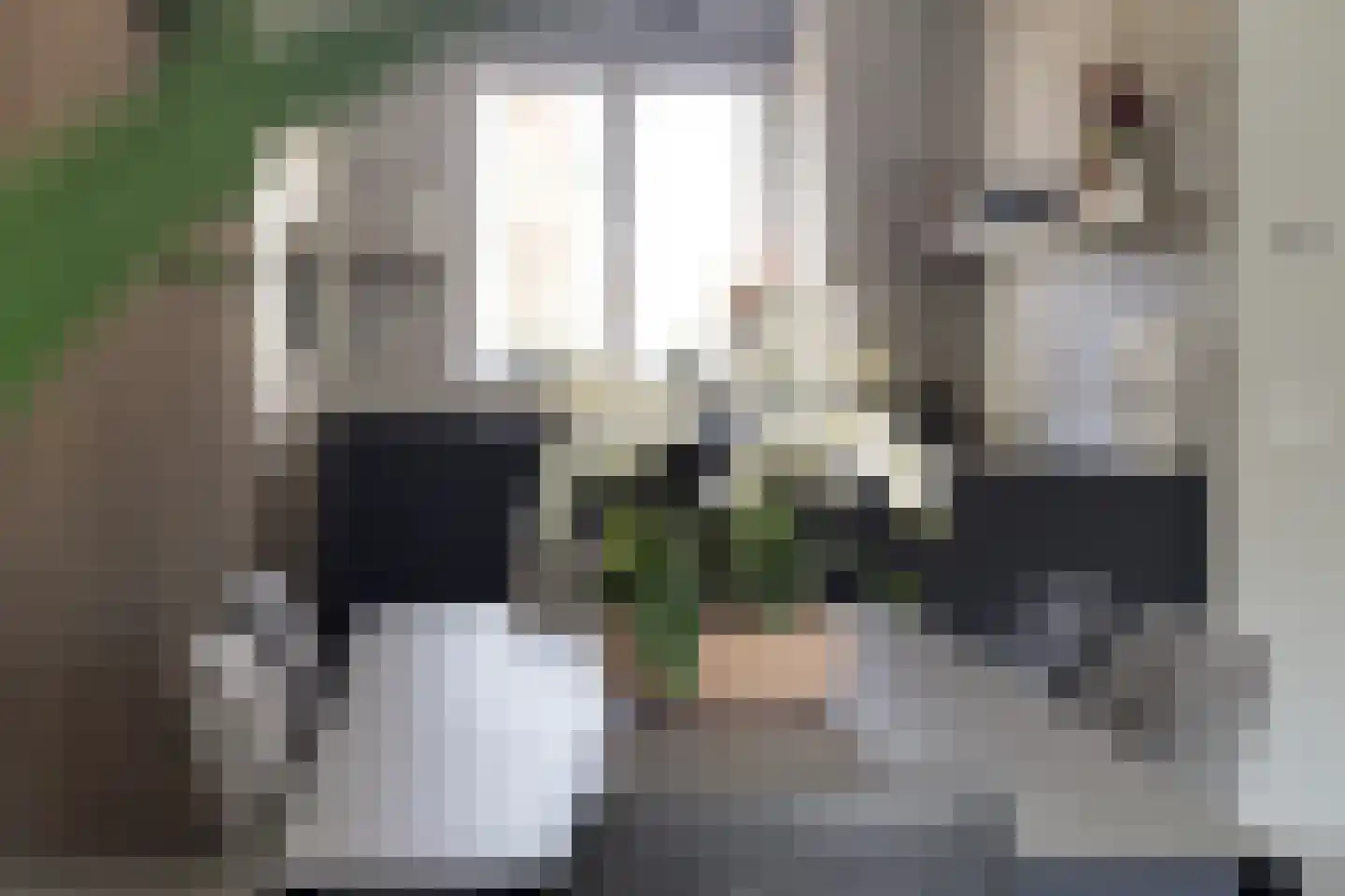 Brevierstraat 44 Berkel-Enschot thumbnail 17