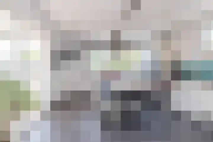 Breyenrode 54 Schinnen thumbnail 12