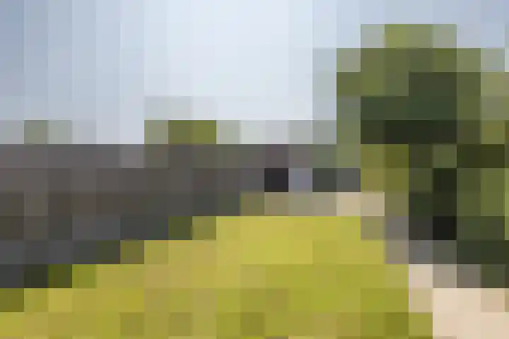 Breyenrode 54 Schinnen thumbnail 27