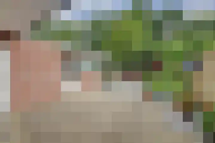 Breyenrode 61 Schinnen thumbnail 28
