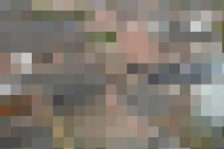 Breyenrode 61 Schinnen thumbnail 40