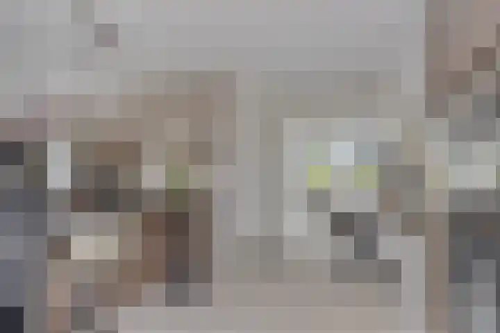 Bricolaruwe 1 Maastricht thumbnail 11