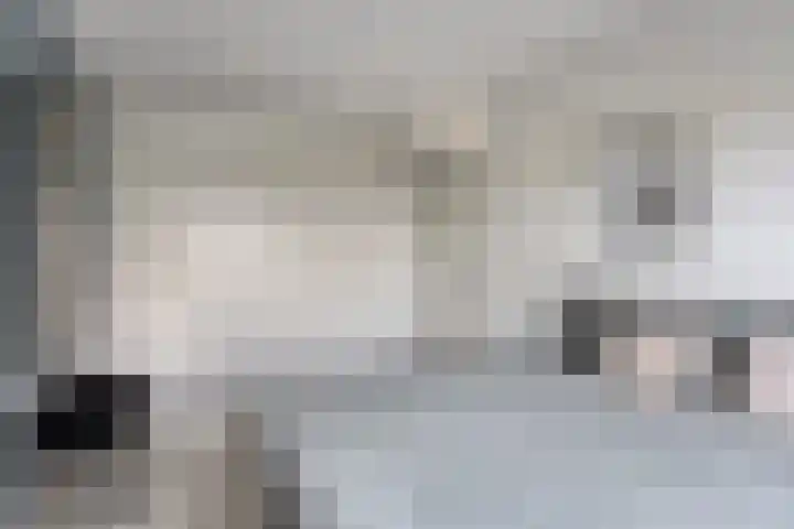 Bricolaruwe 1 Maastricht thumbnail 16