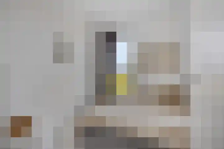 Bricolaruwe 1 Maastricht thumbnail 18