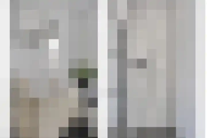 Bricolaruwe 1 Maastricht thumbnail 20