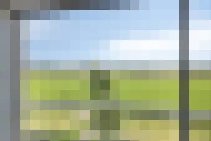 Bricolaruwe 1 Maastricht thumbnail 22