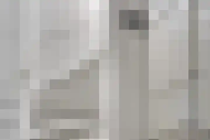 Bricolaruwe 1 Maastricht thumbnail 23